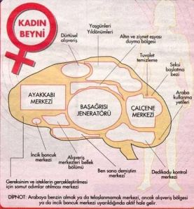 kadin_beyni